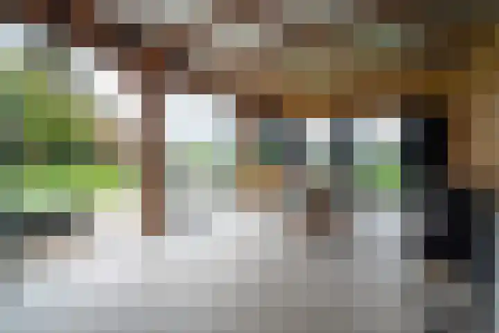 Potgieterlaan 47 Haren Gn thumbnail 47