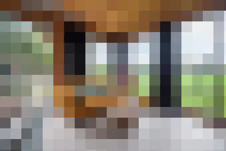 Potgieterlaan 47 Haren Gn thumbnail 48