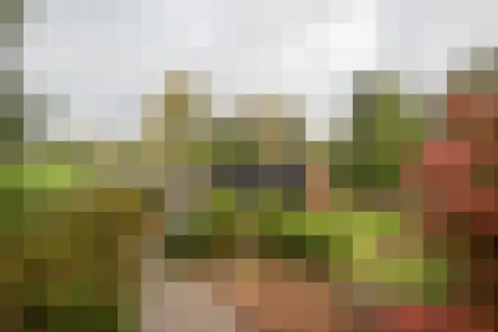 Potgieterlaan 47 Haren Gn thumbnail 6