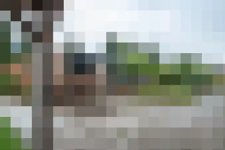Potgieterlaan 47 Haren Gn thumbnail 7