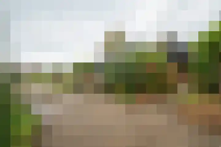 Potgieterlaan 47 Haren Gn thumbnail 8
