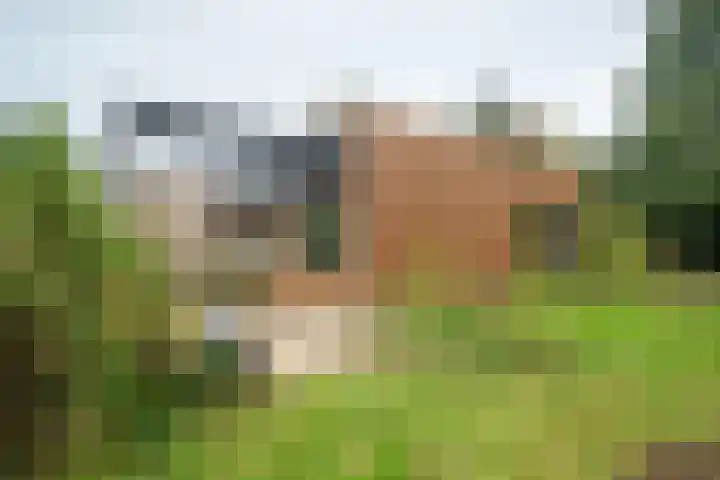 Potgieterlaan 47 Haren Gn thumbnail 9