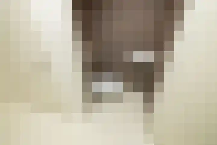 Potgieterlaan 7 P Leiden thumbnail 15