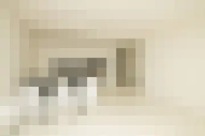 Potgieterlaan 7 P Leiden thumbnail 21