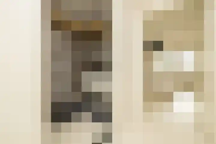 Potgieterlaan 7 P Leiden thumbnail 24
