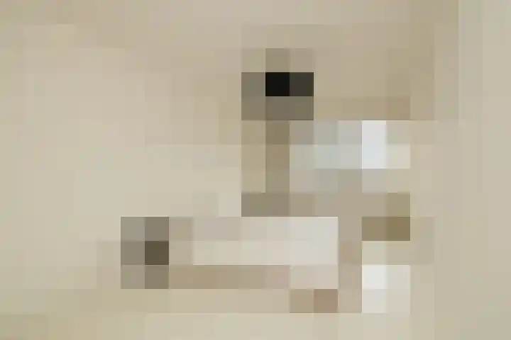 Potgieterlaan 7 P Leiden thumbnail 25