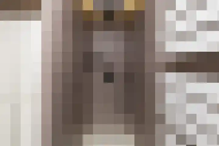 Potgieterlaan 7 P Leiden thumbnail 34