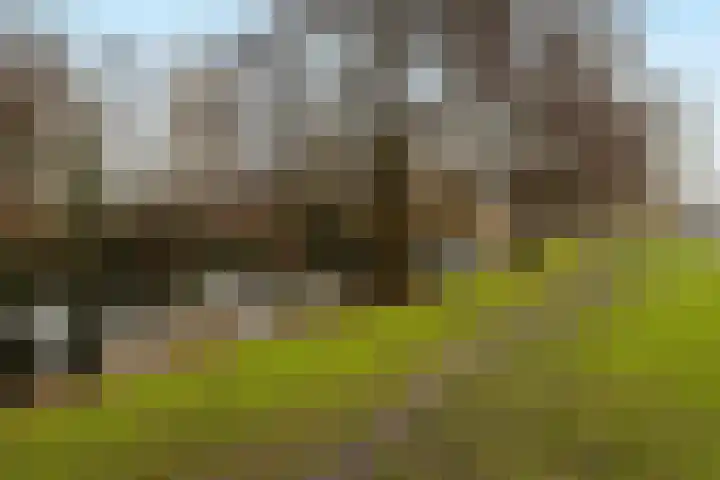 Potgieterlaan 7 P Leiden thumbnail 39