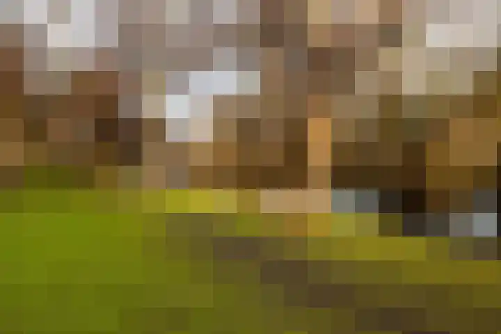 Potgieterlaan 7 P Leiden thumbnail 5