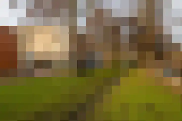 Potgieterlaan 7 P Leiden thumbnail 6