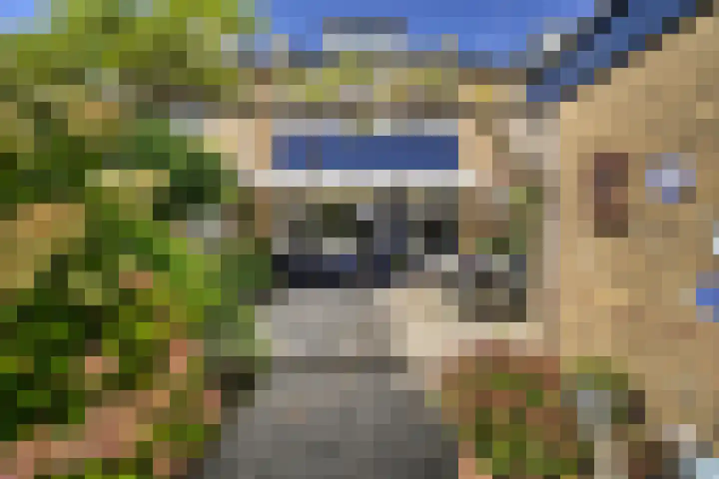 Potgieterlaan 77 Hazerswoude-Rijndijk thumbnail 23