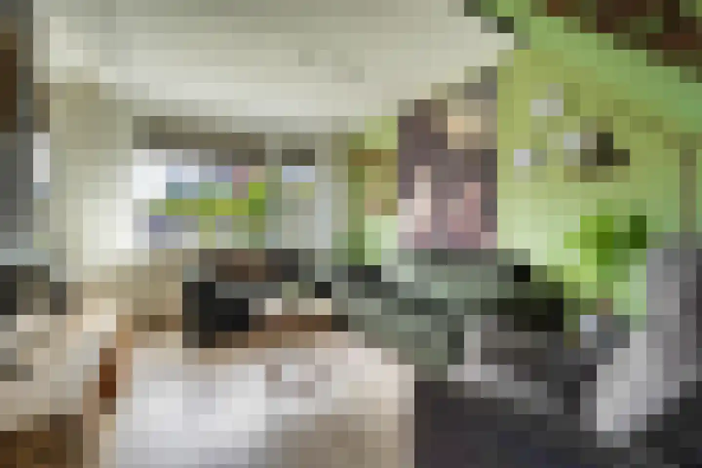 Potgieterlaan 77 Hazerswoude-Rijndijk thumbnail 8