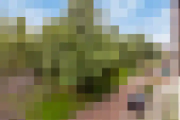 Potgieterlaan 8 C Leiden thumbnail 16