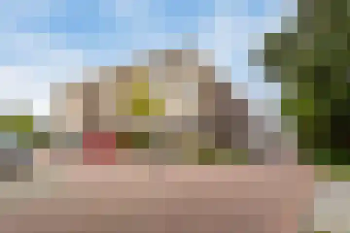 Potgieterlaan 8 C Leiden thumbnail 26