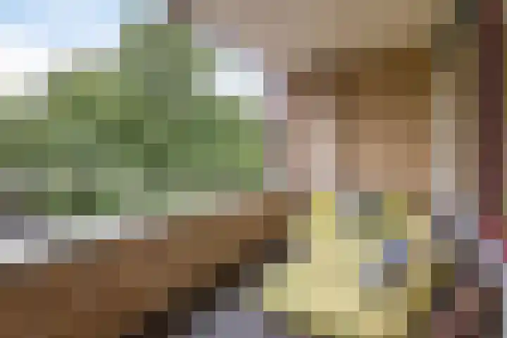 Potgieterlaan 8 C Leiden thumbnail 4