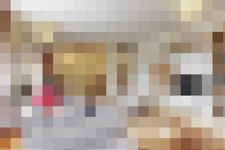 Potgieterlaan 8 E Leiden thumbnail 14