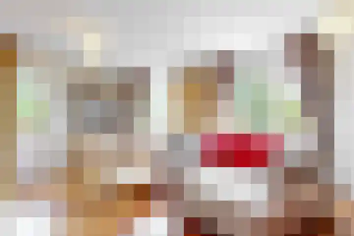 Potgieterlaan 8 E Leiden thumbnail 17