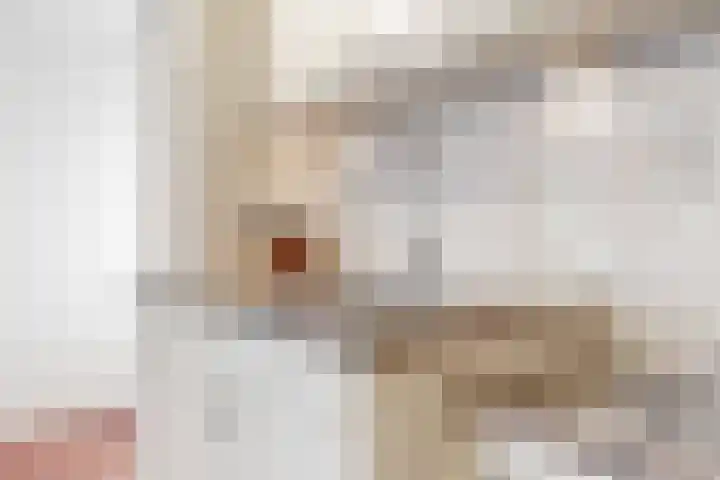 Potgieterlaan 8 E Leiden thumbnail 23