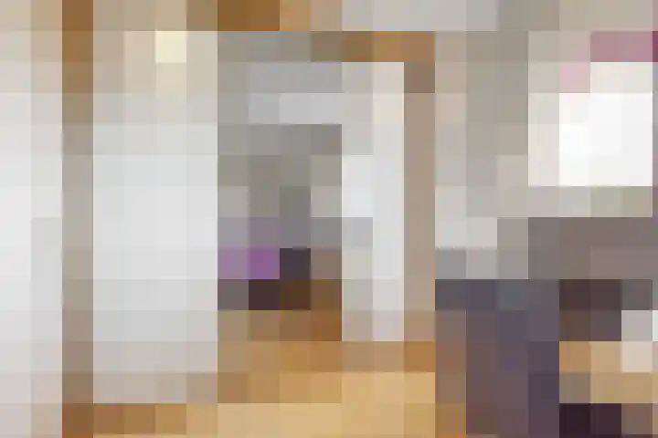Potgieterlaan 8 E Leiden thumbnail 32