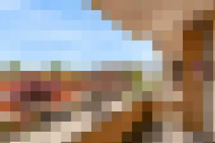 Potgieterlaan 8 E Leiden thumbnail 33