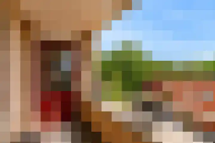 Potgieterlaan 8 E Leiden thumbnail 34