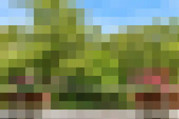 Potgieterlaan 8 E Leiden thumbnail 37