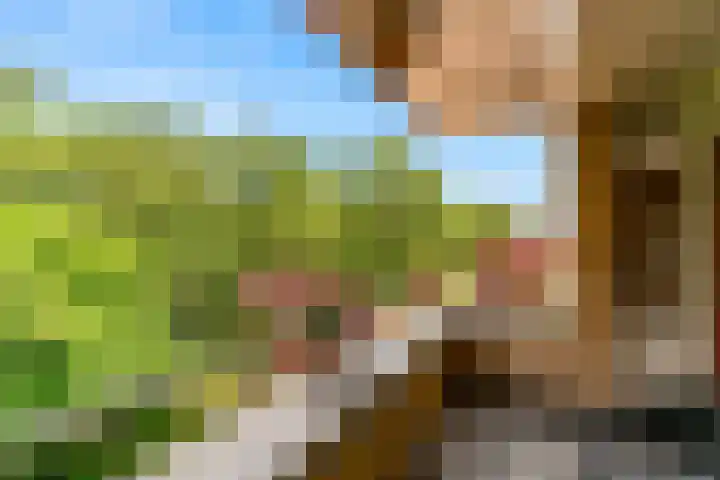 Potgieterlaan 8 E Leiden thumbnail 38