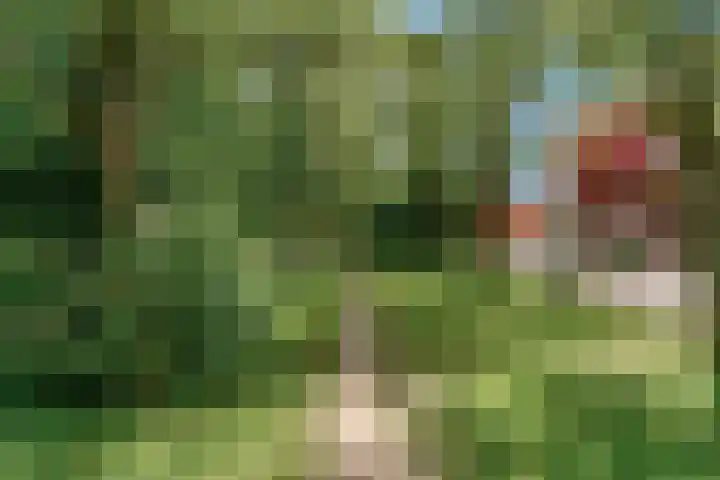Potgieterlaan 8 E Leiden thumbnail 39