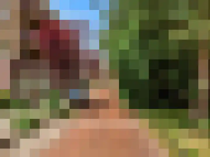 Potgieterlaan 8 E Leiden thumbnail 4