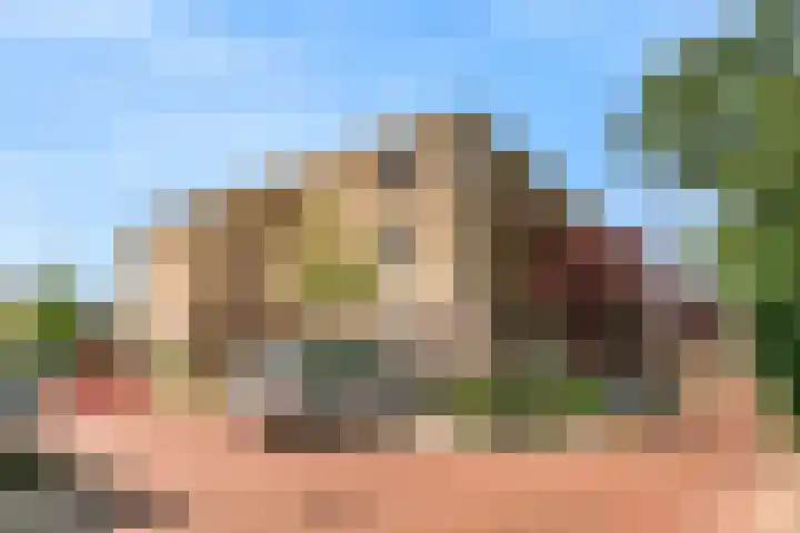 Potgieterlaan 8 E Leiden thumbnail 6