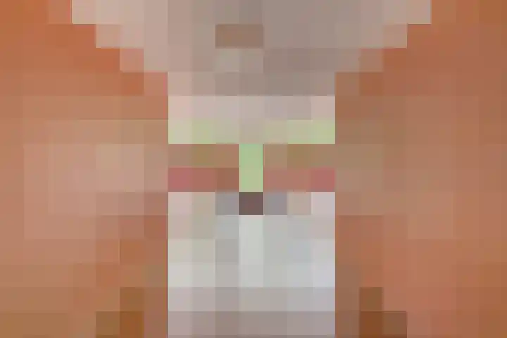 Potgieterlaan 8 E Leiden thumbnail 9