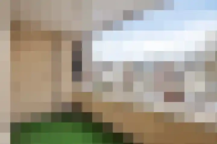 Potgieterlaan 8 H Leiden thumbnail 21
