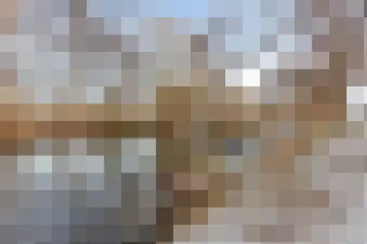 Potgieterlaan 8 H Leiden thumbnail 30