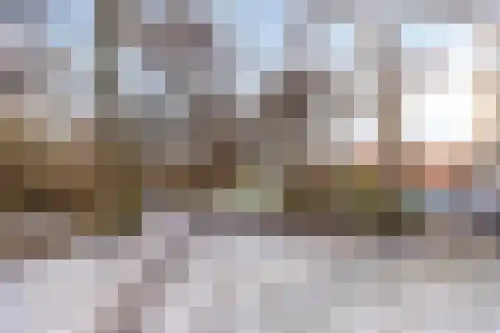 Potgieterlaan 8 H Leiden thumbnail 31