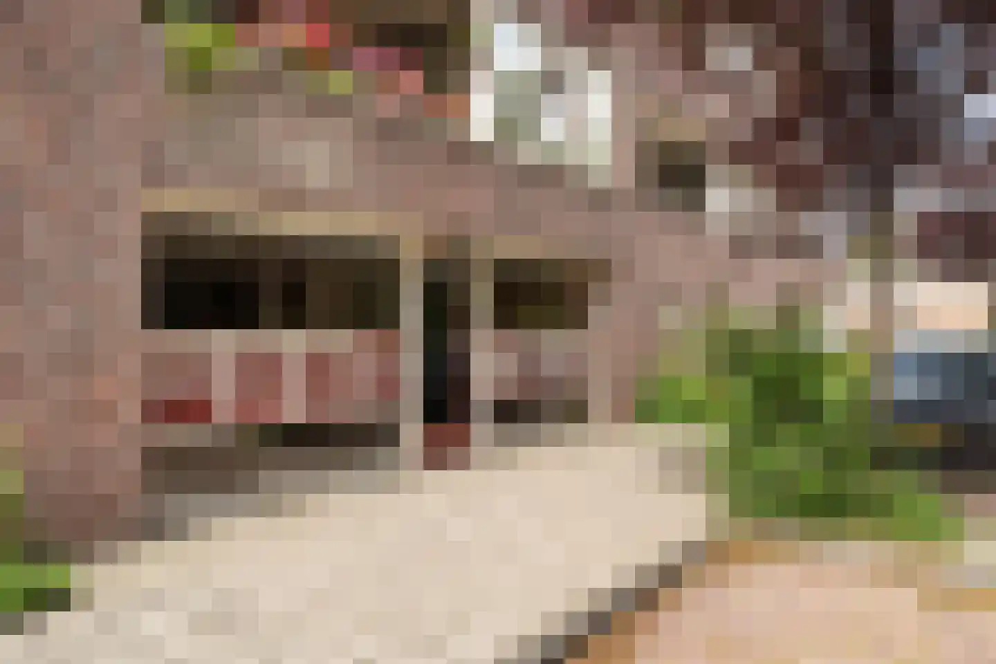 Potgieterlaan 8 V Leiden thumbnail 10