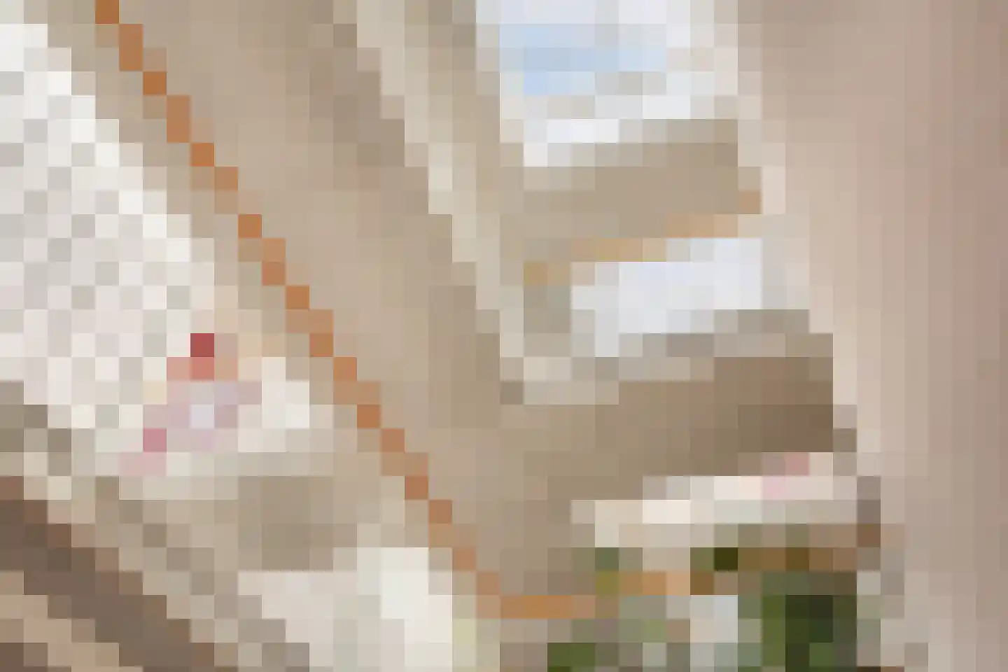 Potgieterlaan 8 V Leiden thumbnail 11