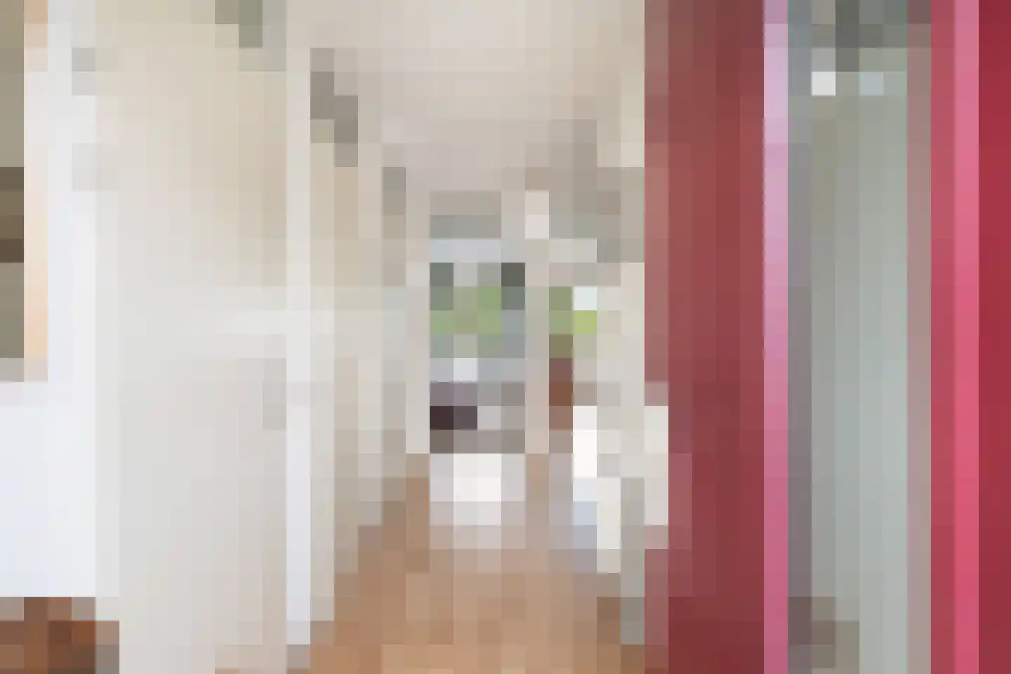 Potgieterlaan 8 V Leiden thumbnail 13