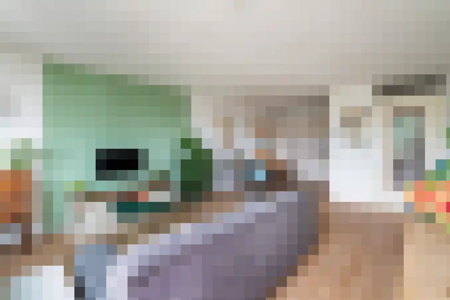Potgieterlaan 8 V Leiden thumbnail 17