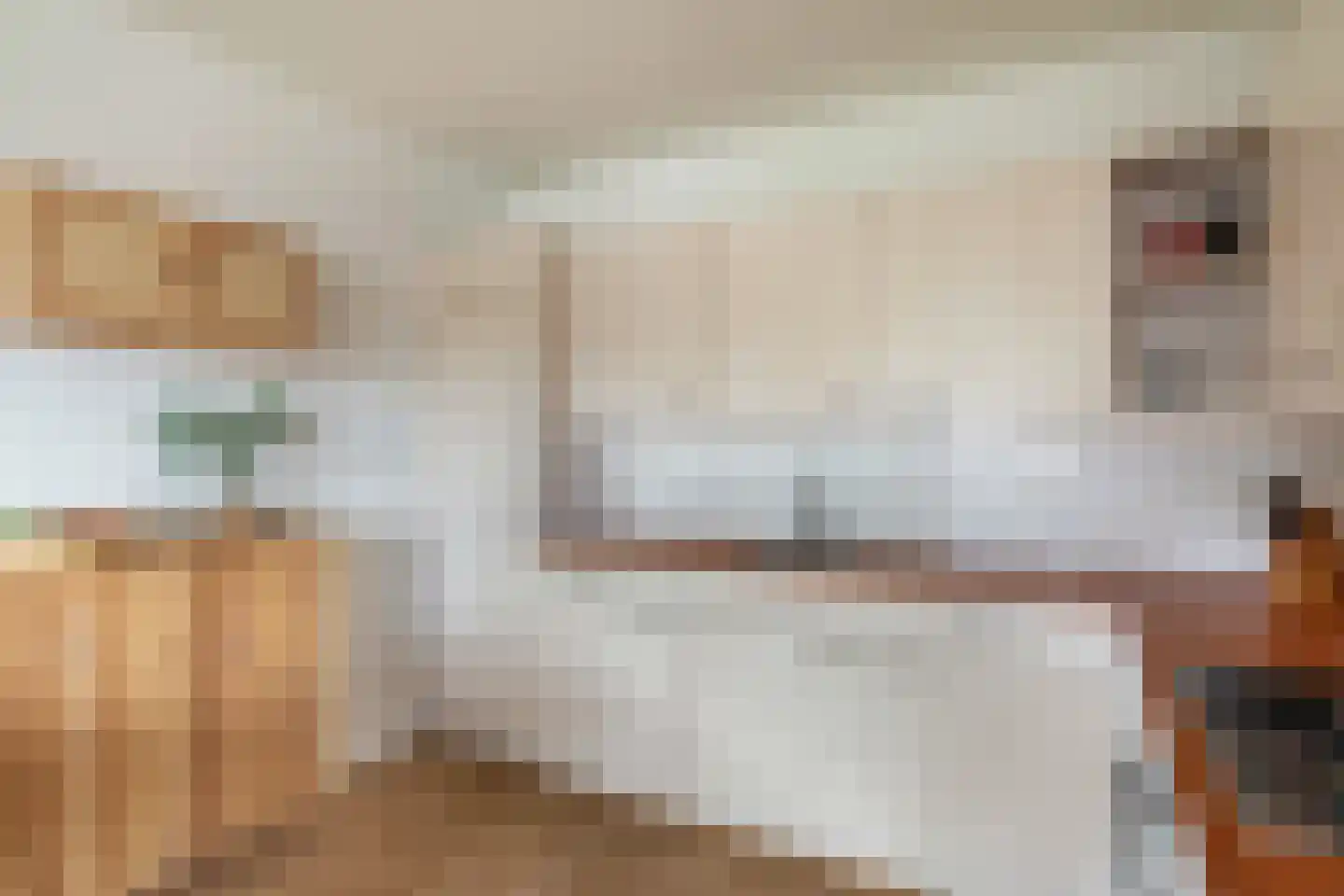 Potgieterlaan 8 V Leiden thumbnail 26