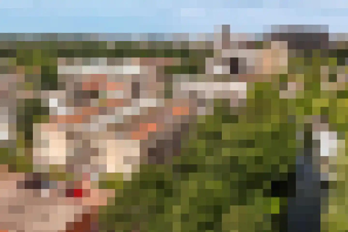 Potgieterlaan 8 V Leiden thumbnail 41