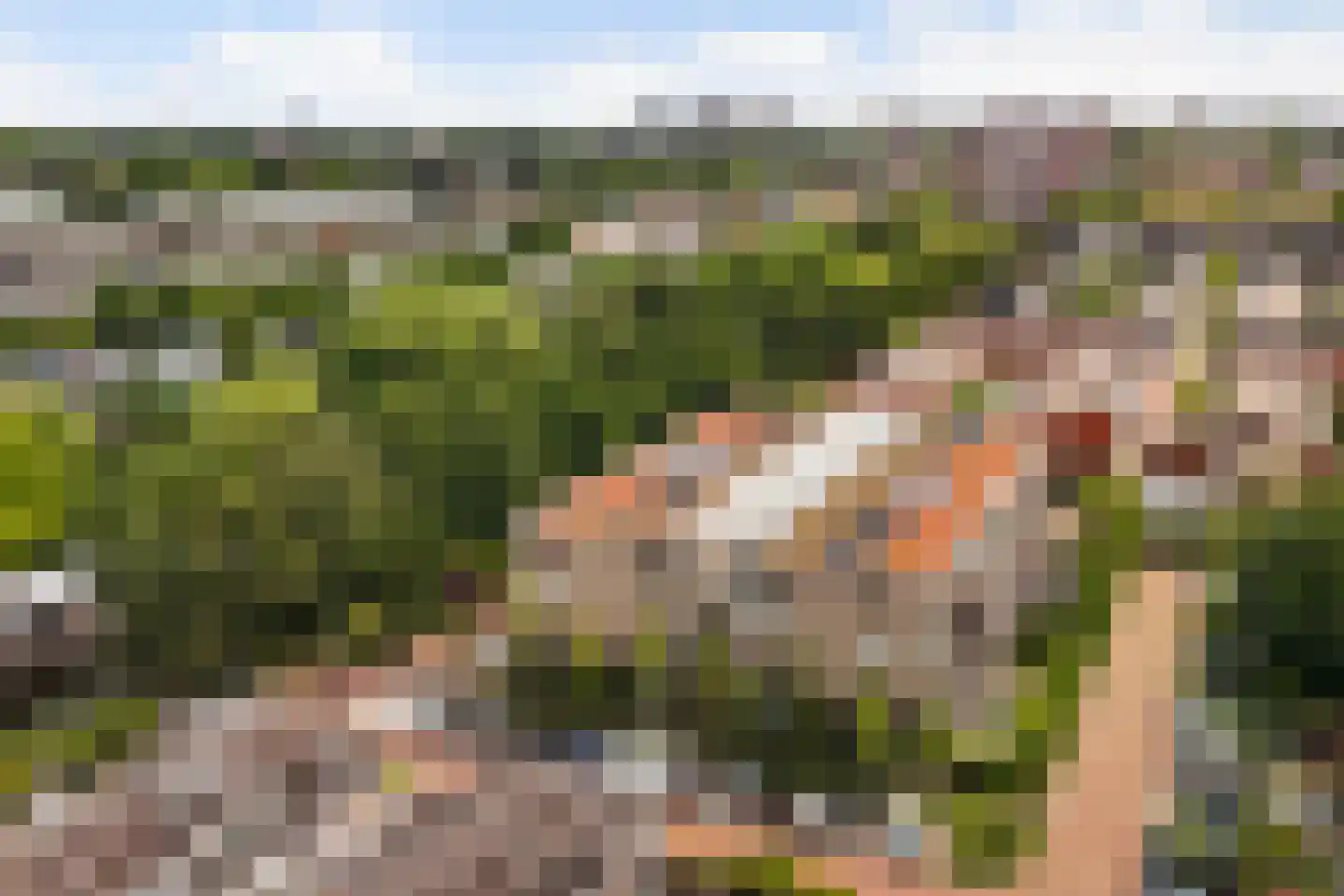 Potgieterlaan 8 V Leiden thumbnail 5