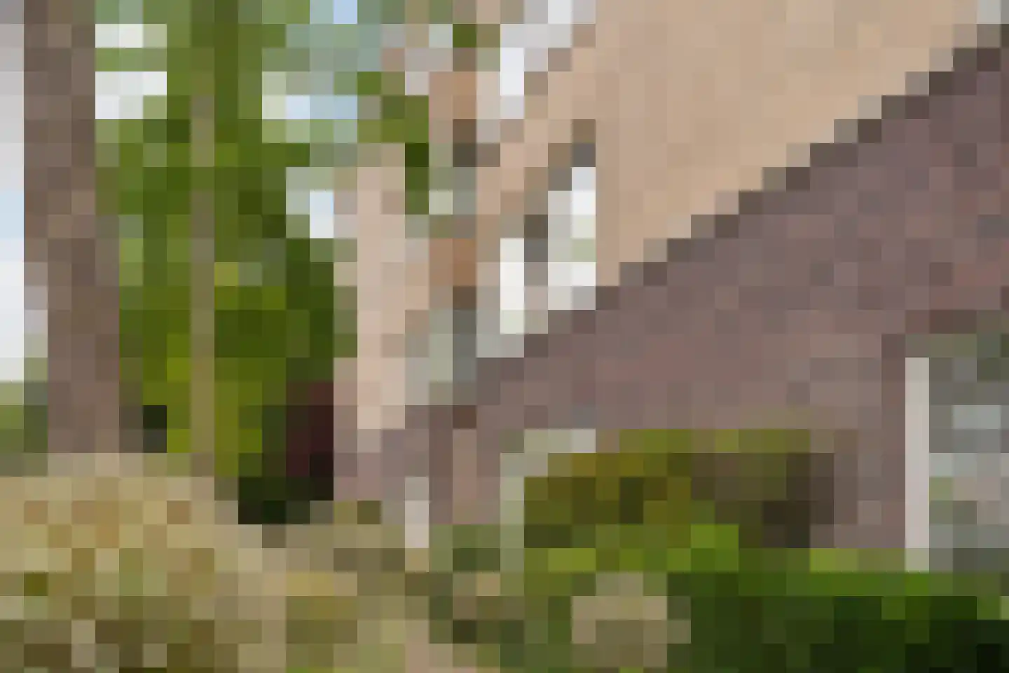 Potgieterlaan 8 V Leiden thumbnail 9