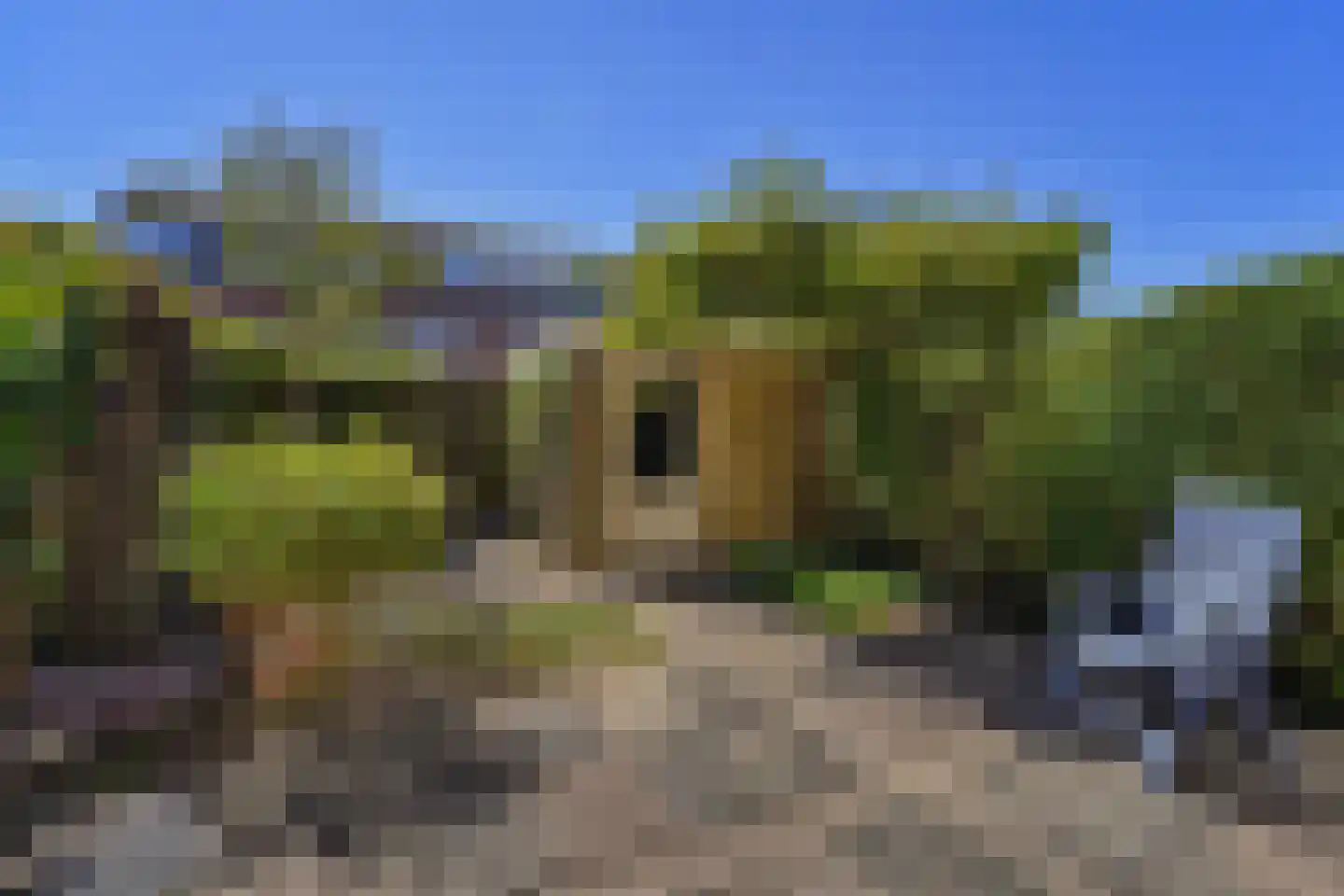 Potgieterlaan 99 Hazerswoude-Rijndijk thumbnail 19