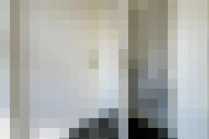 Potgietersingel 25 Zevenhuizen thumbnail 10