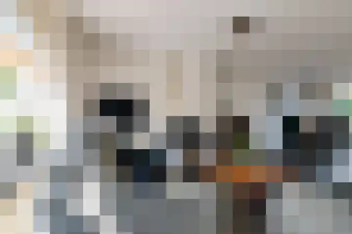 Potgietersingel 25 Zevenhuizen thumbnail 11