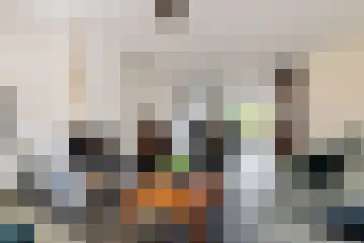 Potgietersingel 25 Zevenhuizen thumbnail 12
