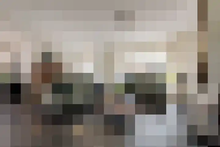 Potgietersingel 25 Zevenhuizen thumbnail 15