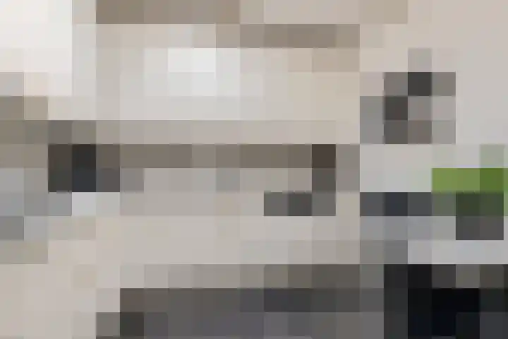 Potgietersingel 25 Zevenhuizen thumbnail 18