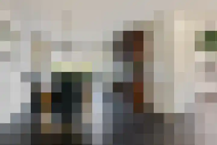 Potgietersingel 25 Zevenhuizen thumbnail 20