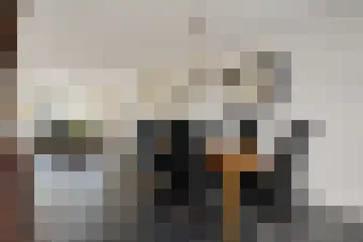 Potgietersingel 25 Zevenhuizen thumbnail 21